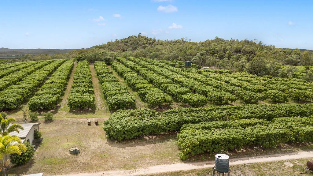 Additional image 8 of 1151 Leafgold Weir Road, Dimbulah QLD 4872