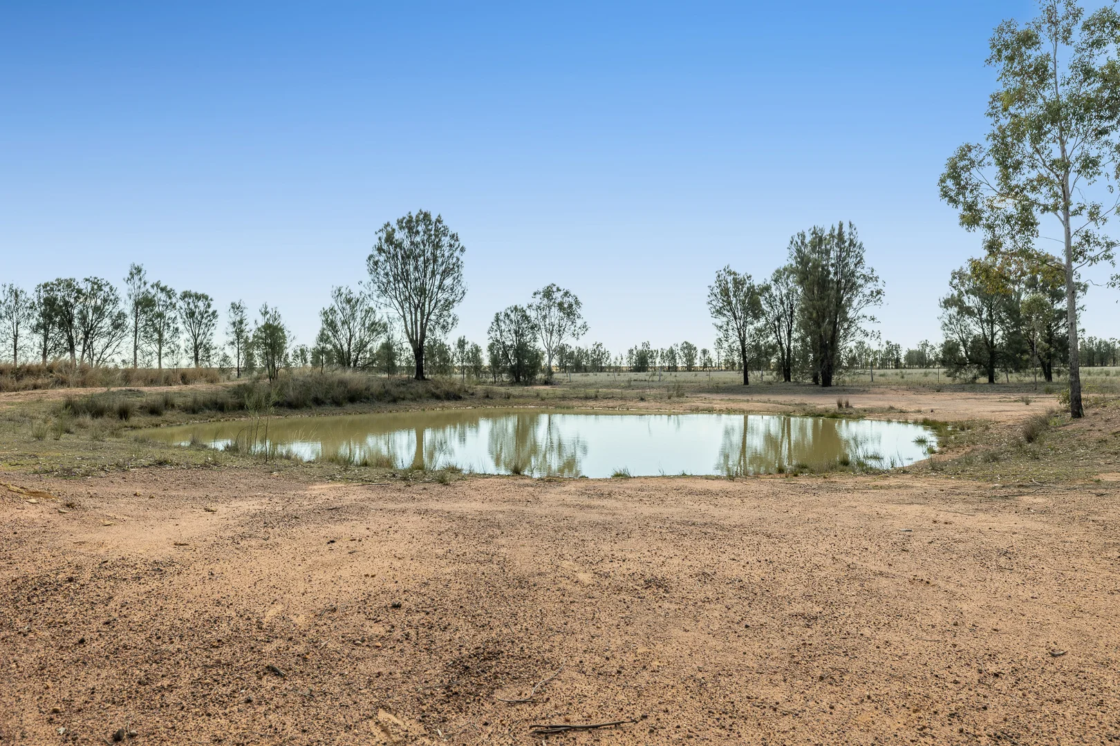 Additional image 4 of 'Libertyfield' 488 Macquarie Drive, Leyburn QLD 4365