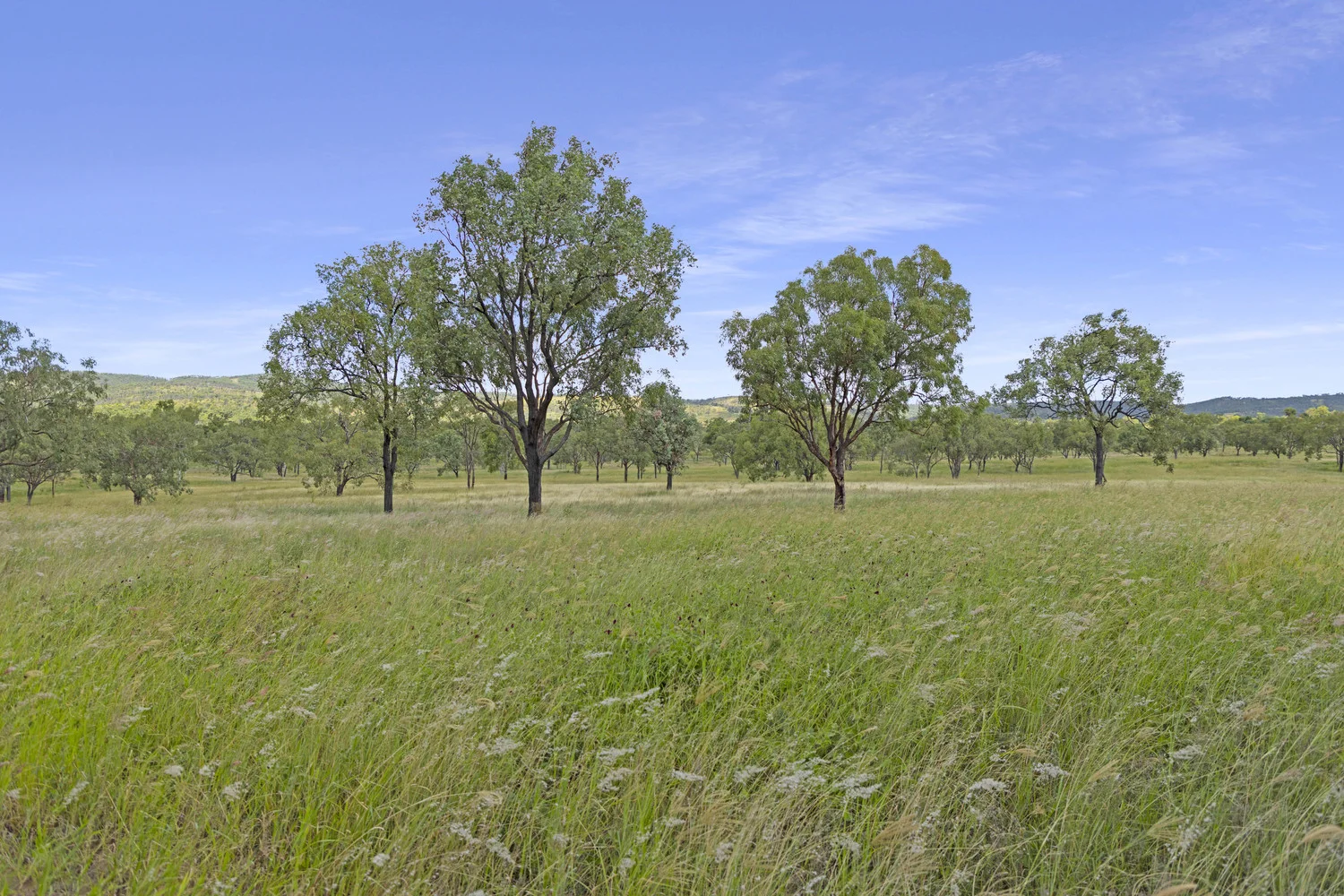 Additional image 11 of 124 Lee Farm Road, Bushley QLD 4702