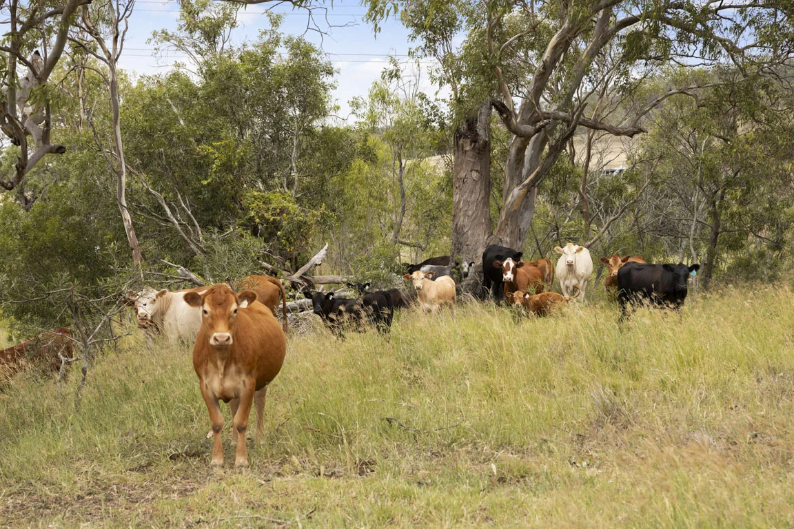 Additional image 3 of 36 Walkers Springs Road, Preston QLD 4352