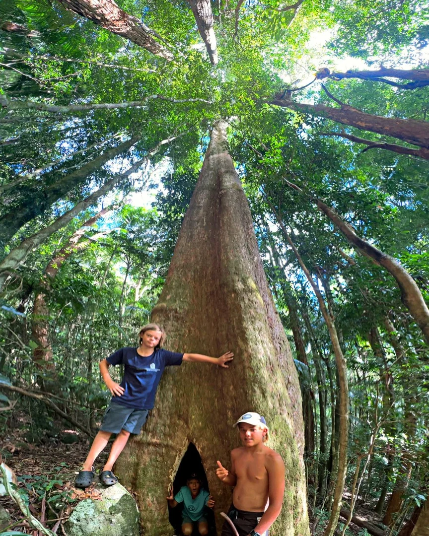 Additional image 12 of 373 Newton Drive, Nimbin NSW 2480