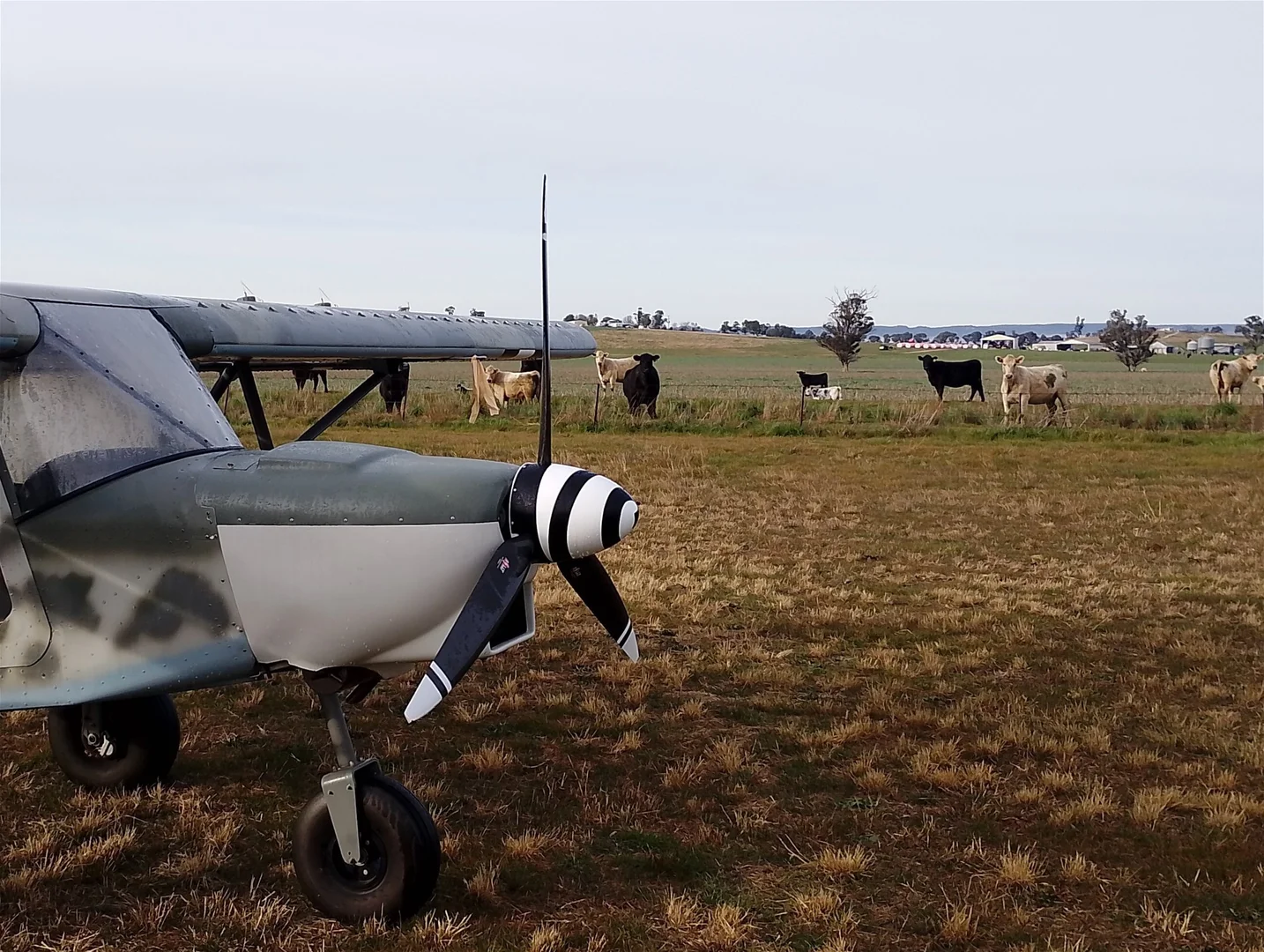 Additional image 3 of 14317 Golden Highway, Dunedoo NSW 2844