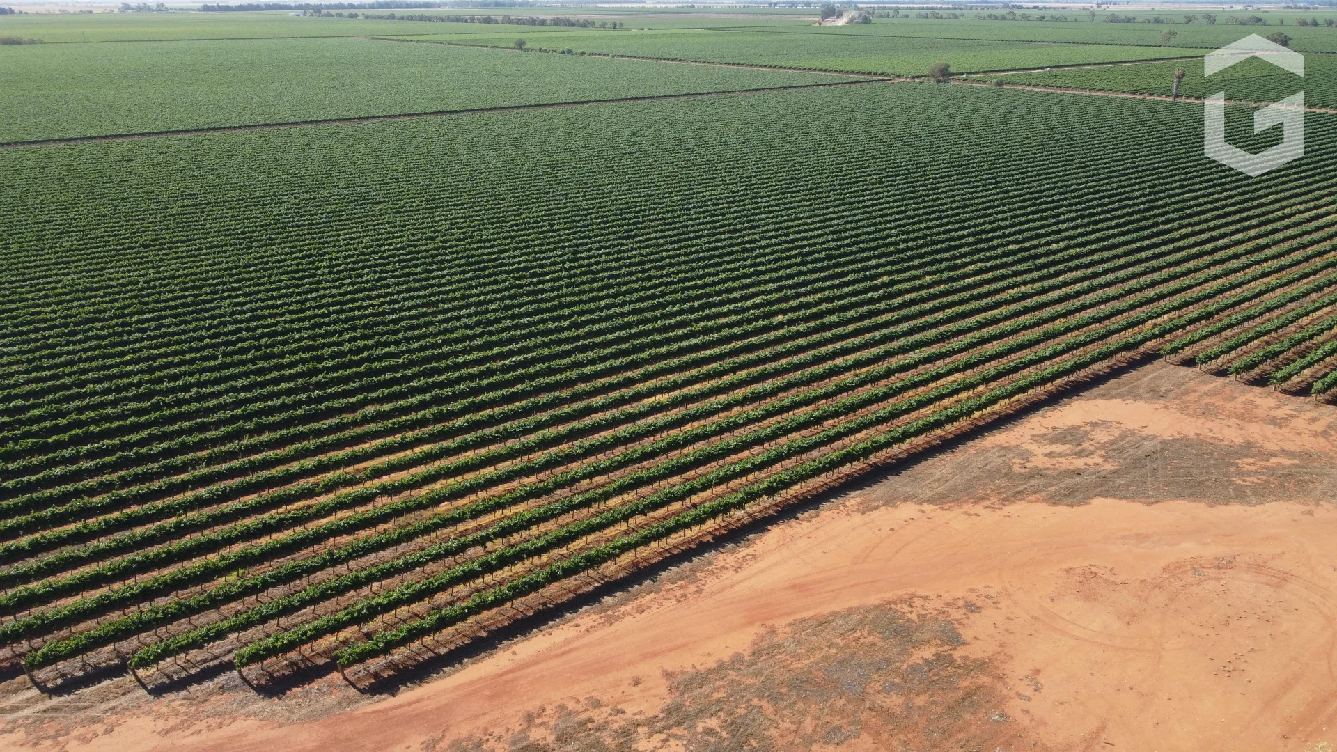 Additional image 4 of . Mansell Road, Hanwood NSW 2680