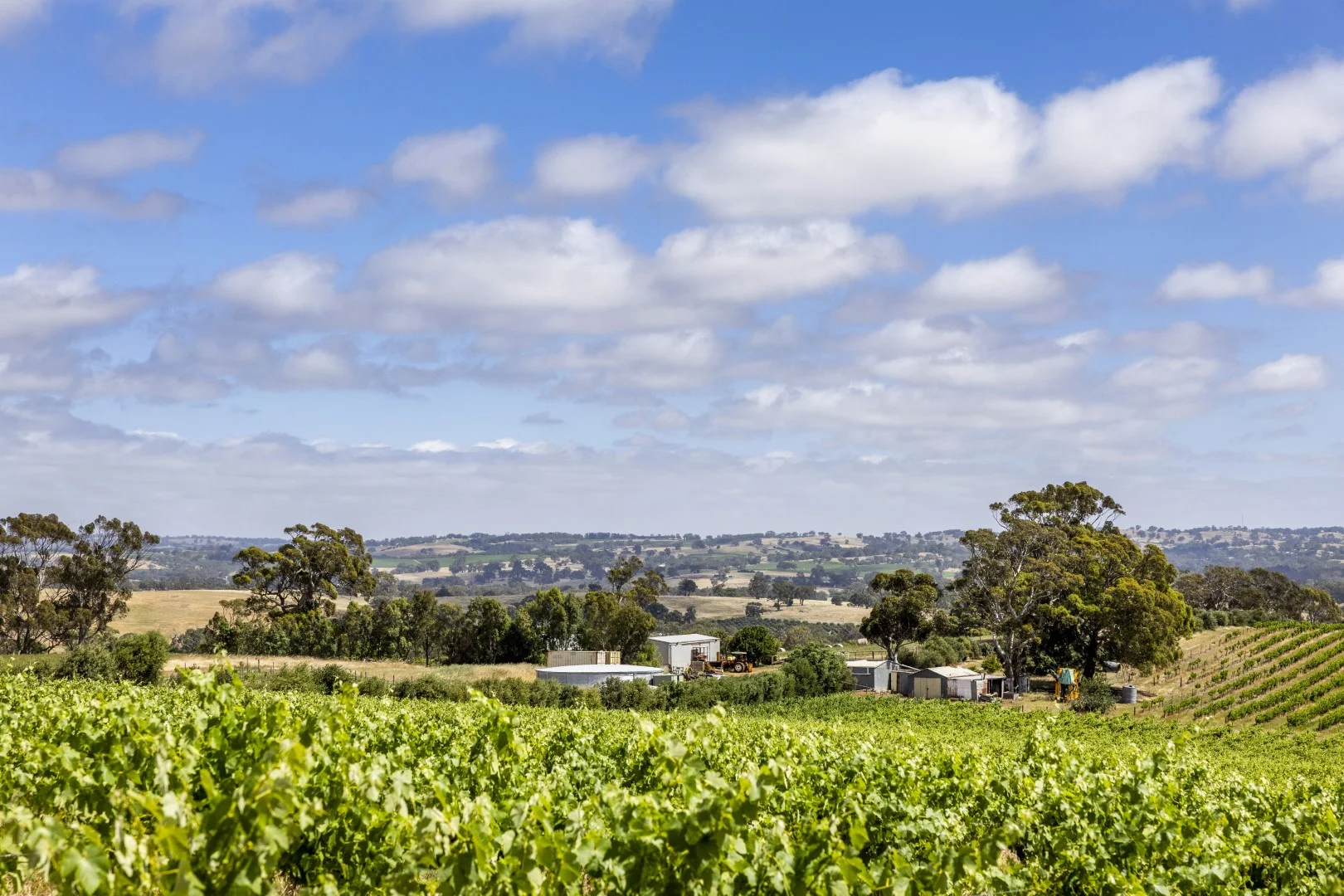 Additional image 2 of 178 Jutland Road, Springton SA 5235