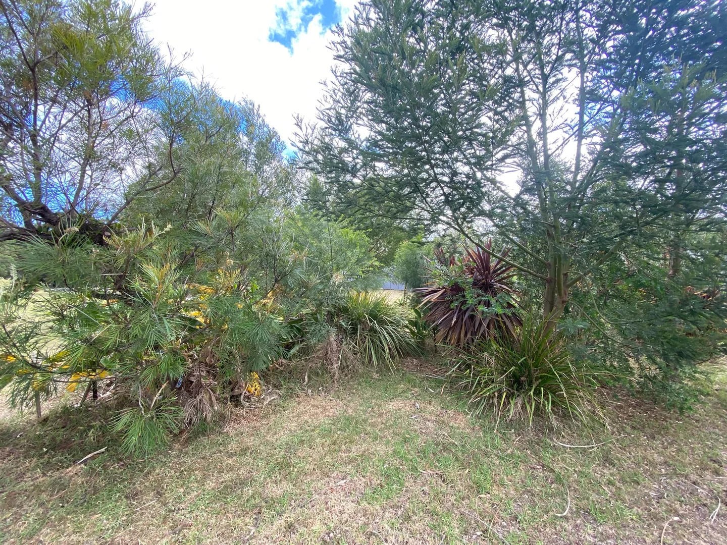 Additional image 4 of 24 Terra Nova Drive, Mallacoota VIC 3892