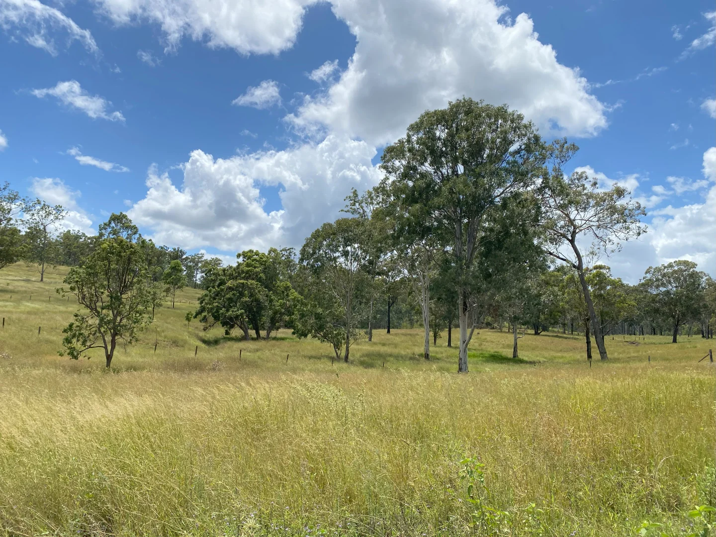 Additional image 5 of 'Sunrise' Mclaughlans Road, Monto QLD 4630