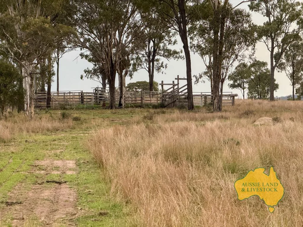 Additional image 19 of 373 Ormonde Road, Monogorilby QLD 4626