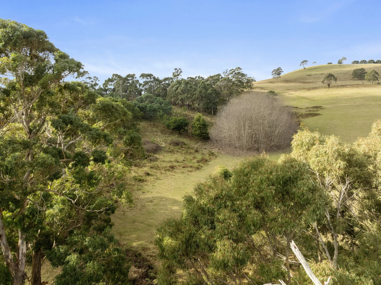 Additional image 12 of Red Gap Road/Fagans Lane, Goldie VIC 3435