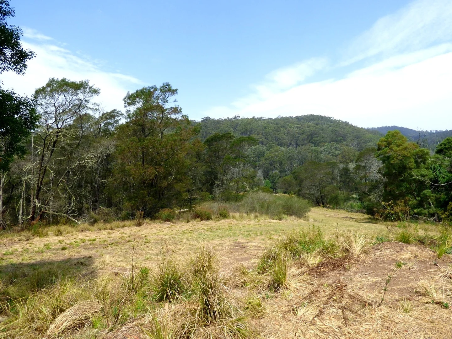 Additional image 5 of Lot 1122 Ruggs Road, Nethercote NSW 2549