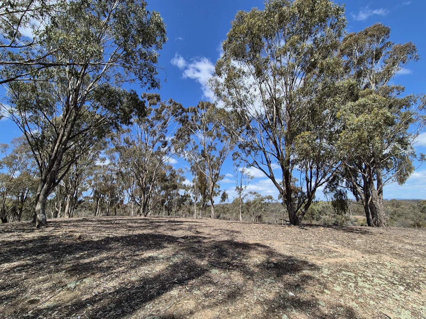 Additional image 4 of Lot 2 Gellibrand Tonks Road, Earlston VIC 3669