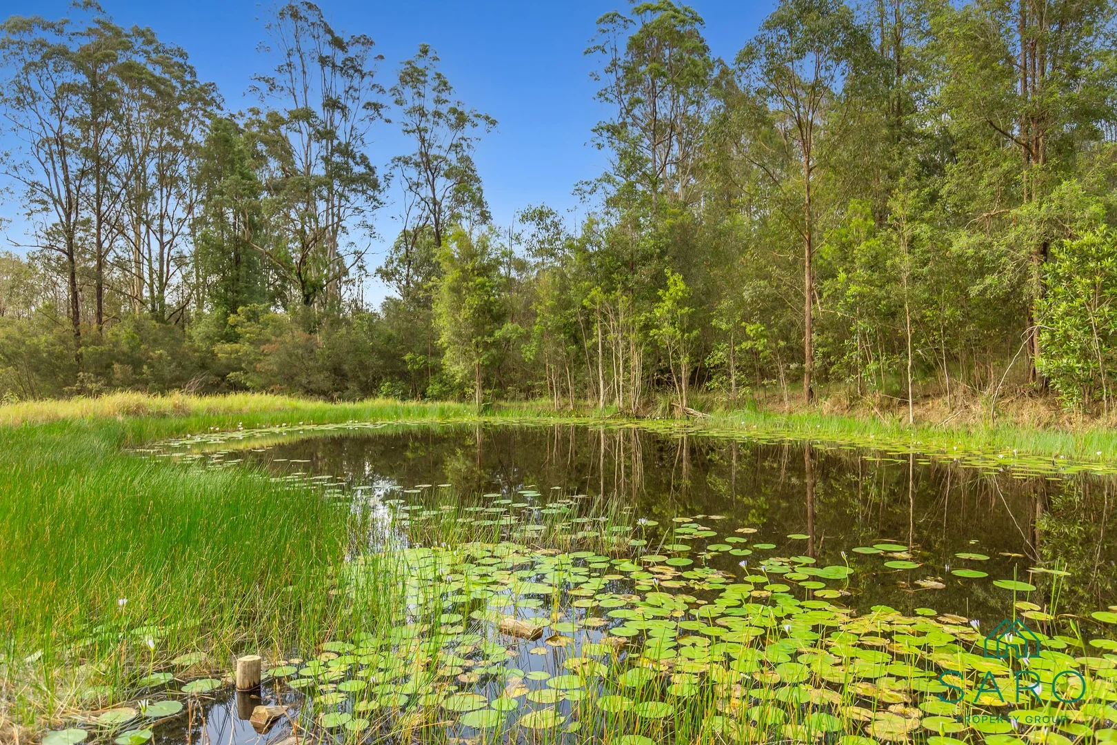 Additional image 8 of 109 Ellems Quarry Road, Nana Glen NSW 2450