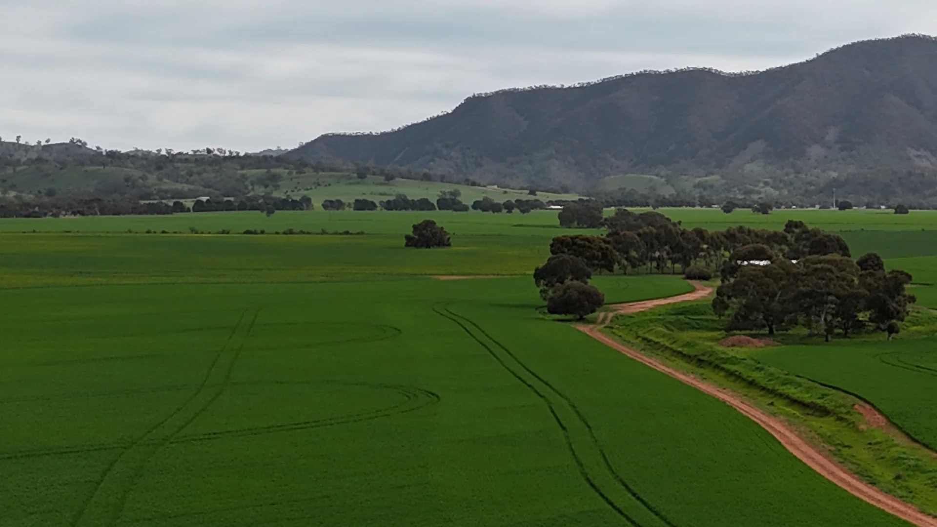 Additional image 3 of 172 Cowin Road, Melrose SA 5483