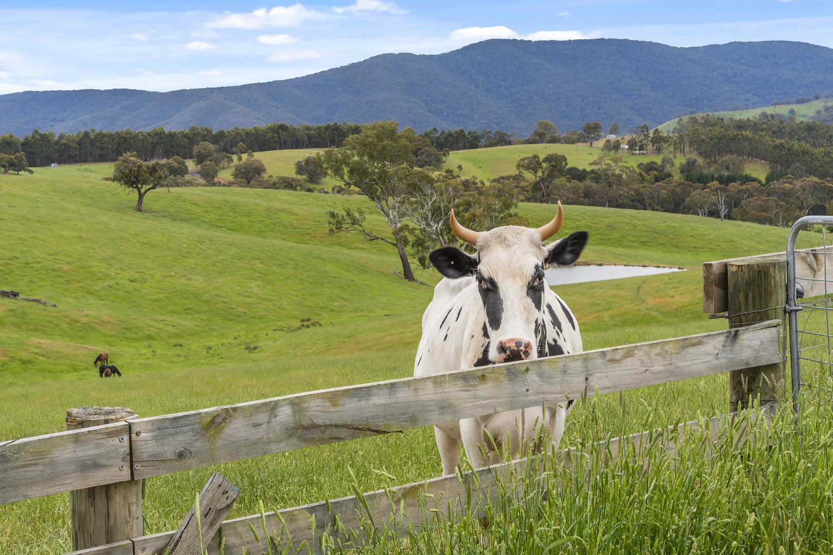 Additional image 23 of 105 Englishs Road, Broadford VIC 3658