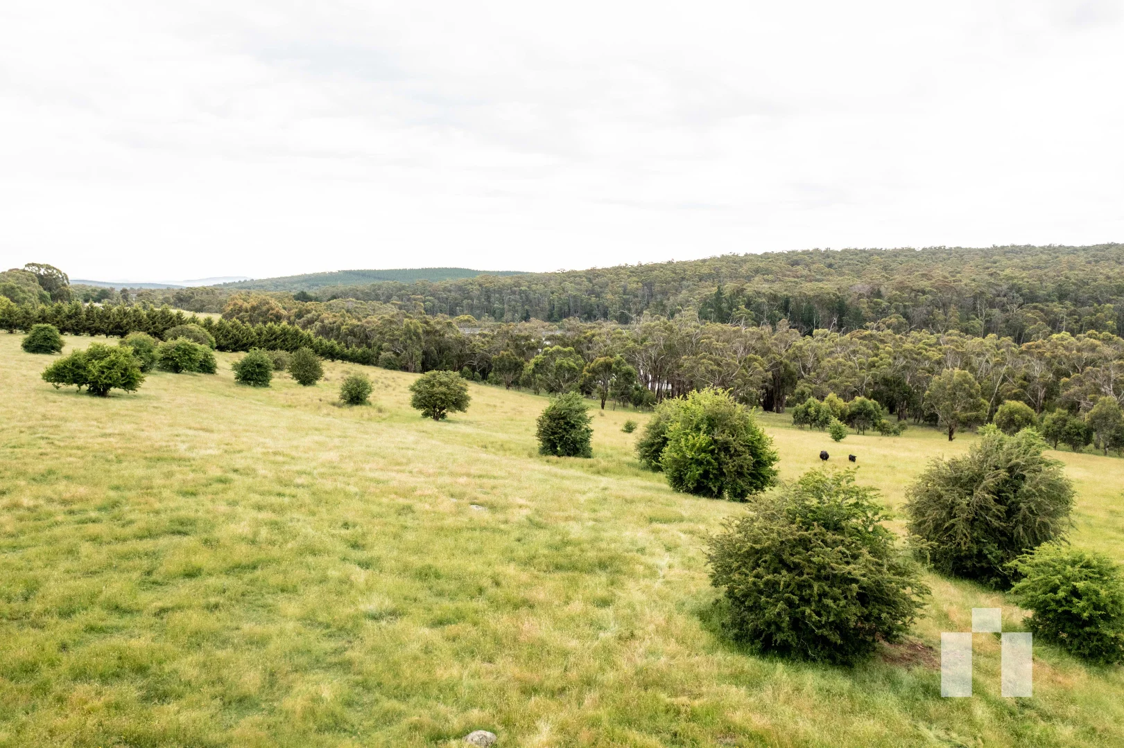 Additional image 5 of 159 Creswick-Dean Road, Dean VIC 3363