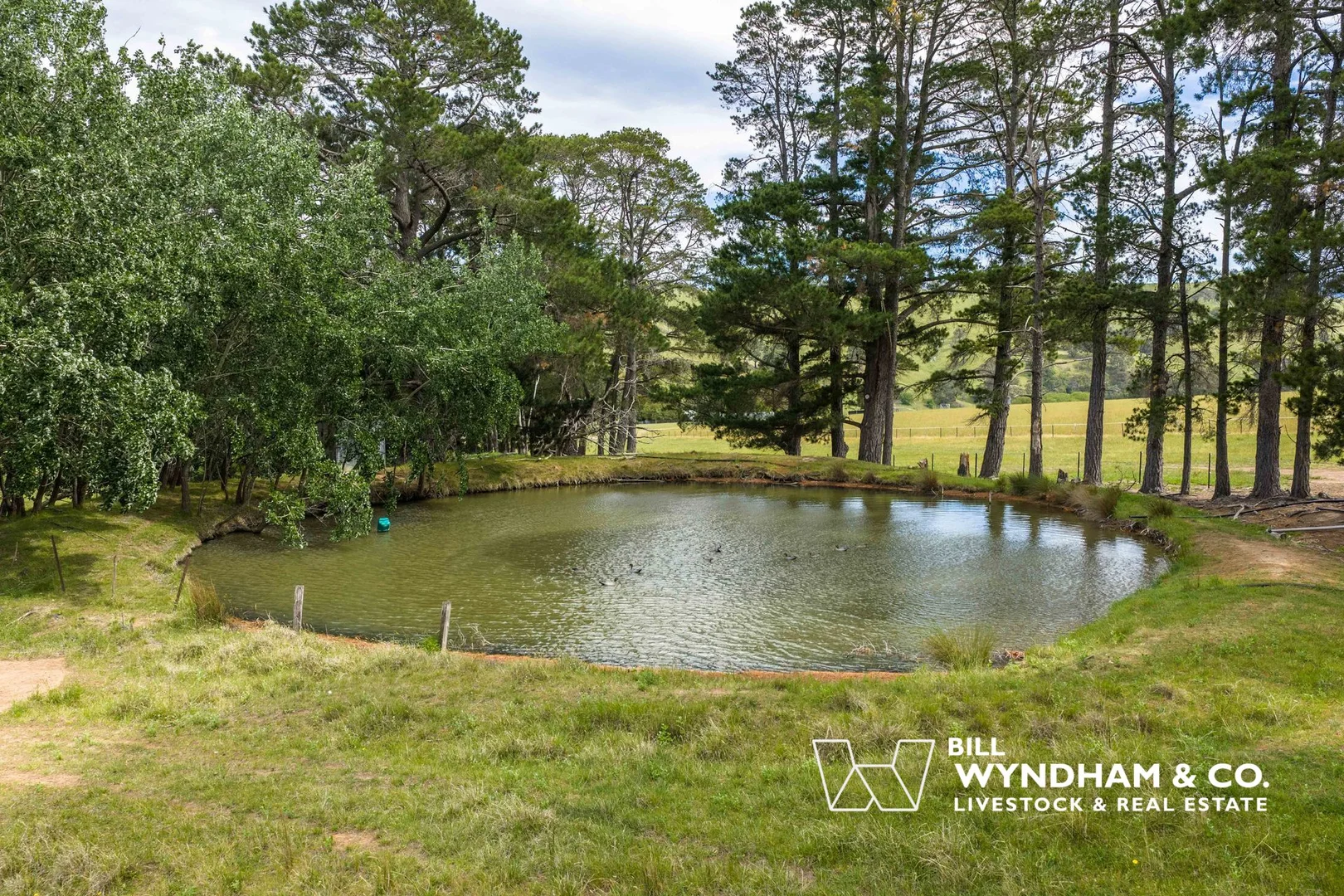 Additional image 19 of 472 Little River Road, Ensay North VIC 3895