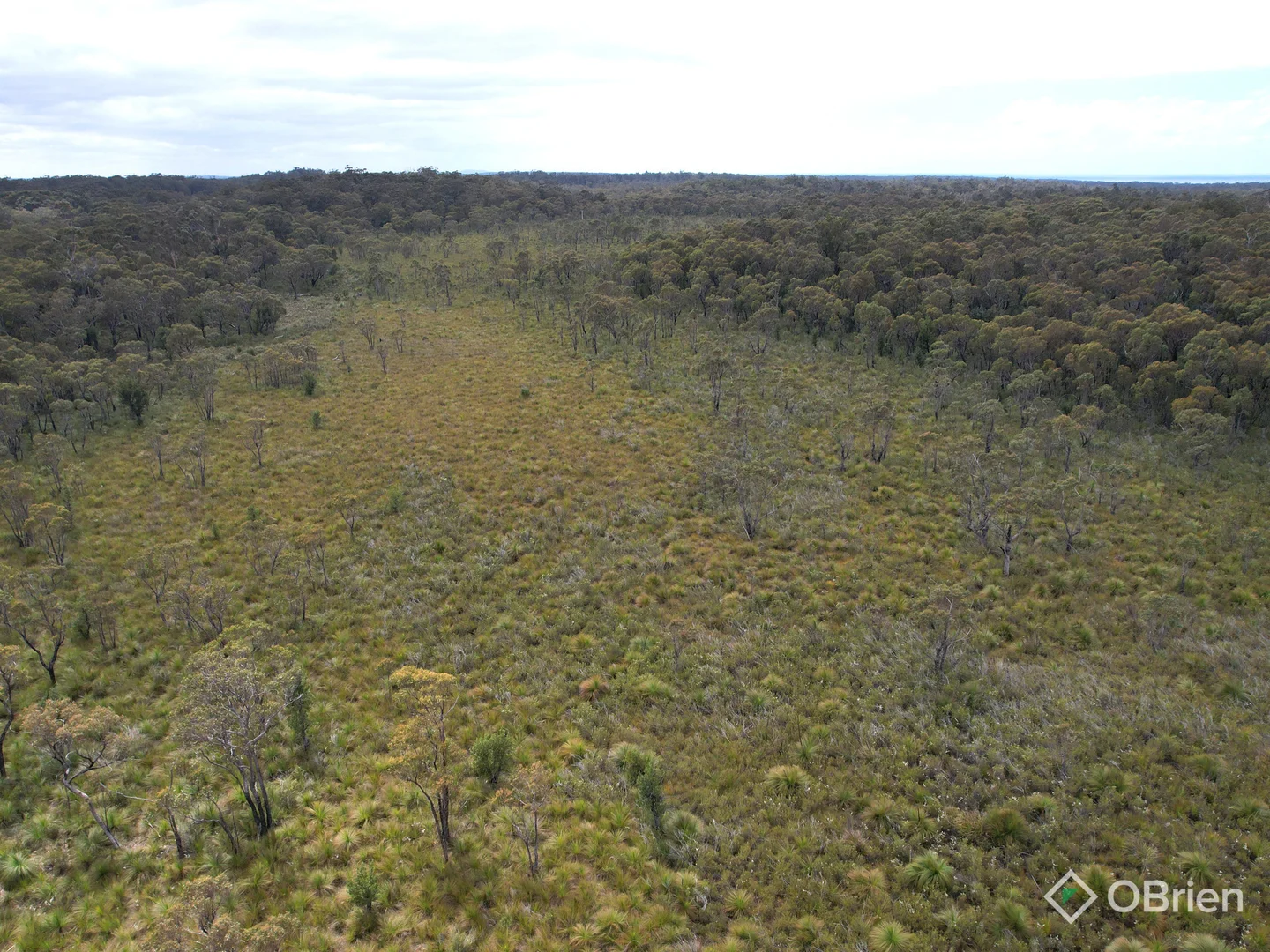 Additional image 11 of 726 Cabbage Tree-Conran Road, Marlo VIC 3888