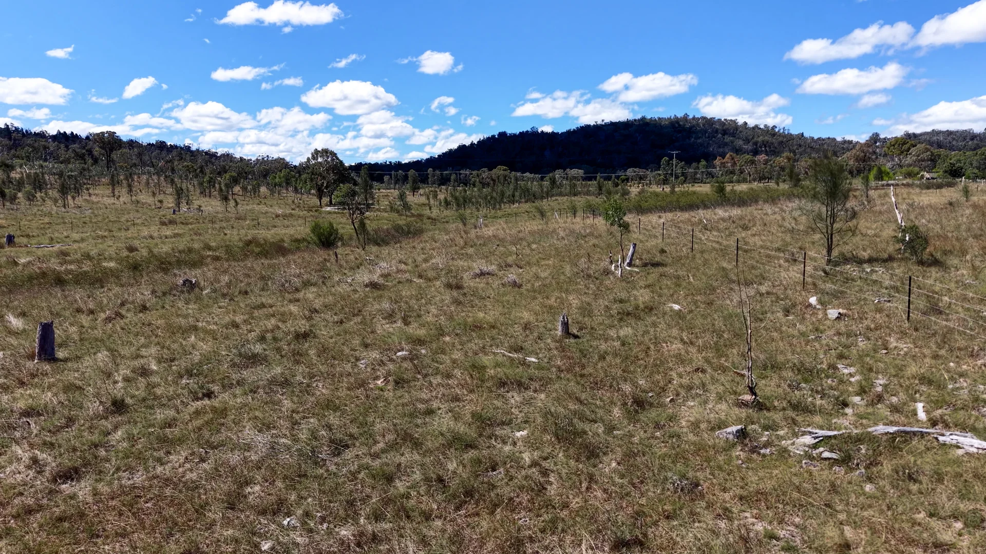 Additional image 6 of 62 Tarban Road, Tenterfield NSW 2372