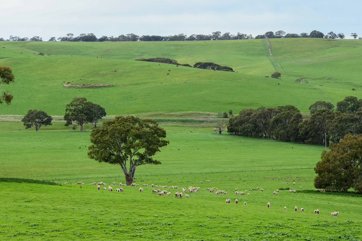 Additional image 12 of 649 Coleraine - Balmoral Road, Wootong Vale VIC 3315