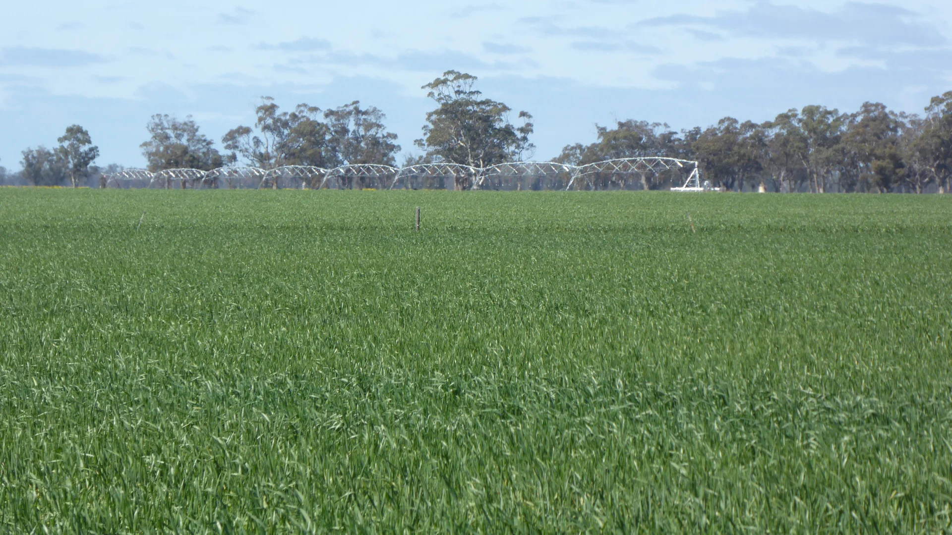 Additional image 3 of 139 Packer Road, Bordertown South SA 5268