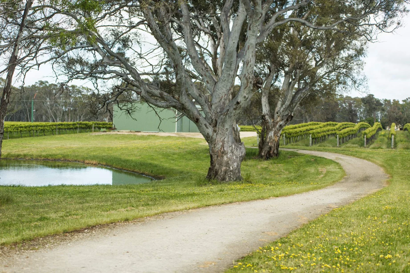 Additional image 10 of Nolans Road, Hynam SA 5262