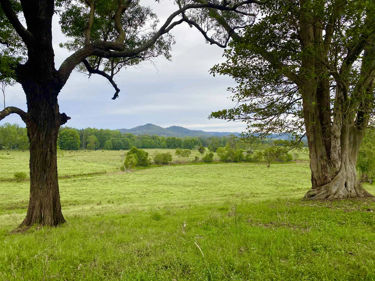 Additional image 21 of 1554 & 1598 Rollands Plains Road, Rollands Plains NSW 2441