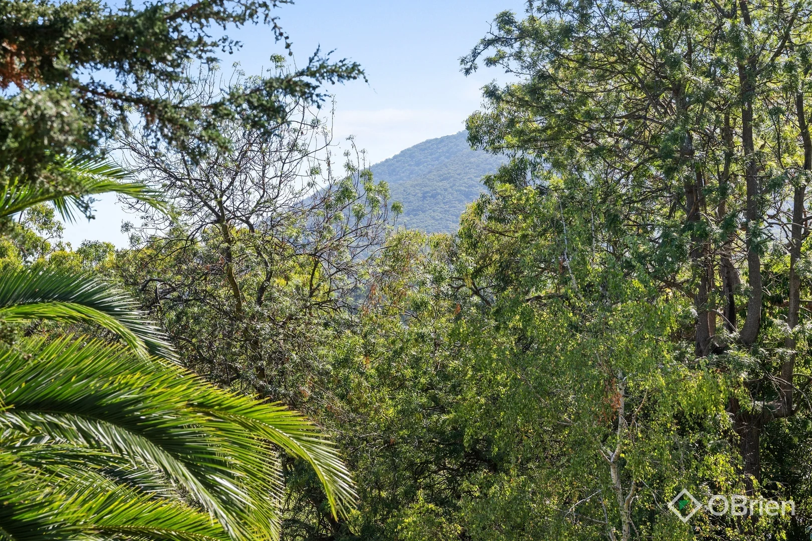 Additional image 12 of 1375 Mountain Highway, The Basin VIC 3154