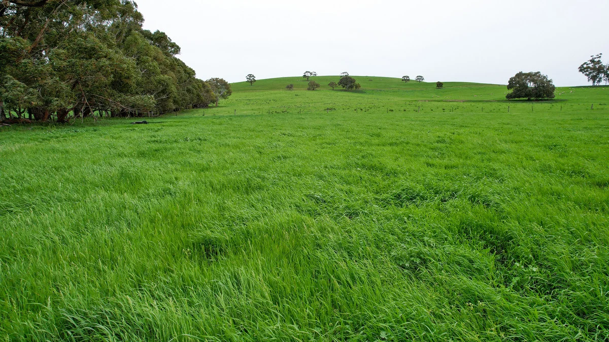 Additional image 17 of 649 Coleraine - Balmoral Road, Wootong Vale VIC 3315