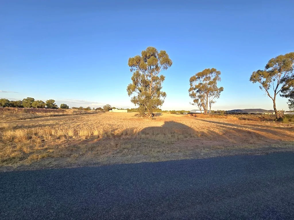 Additional image 5 of 77 Boltes Lane, West Wyalong NSW 2671