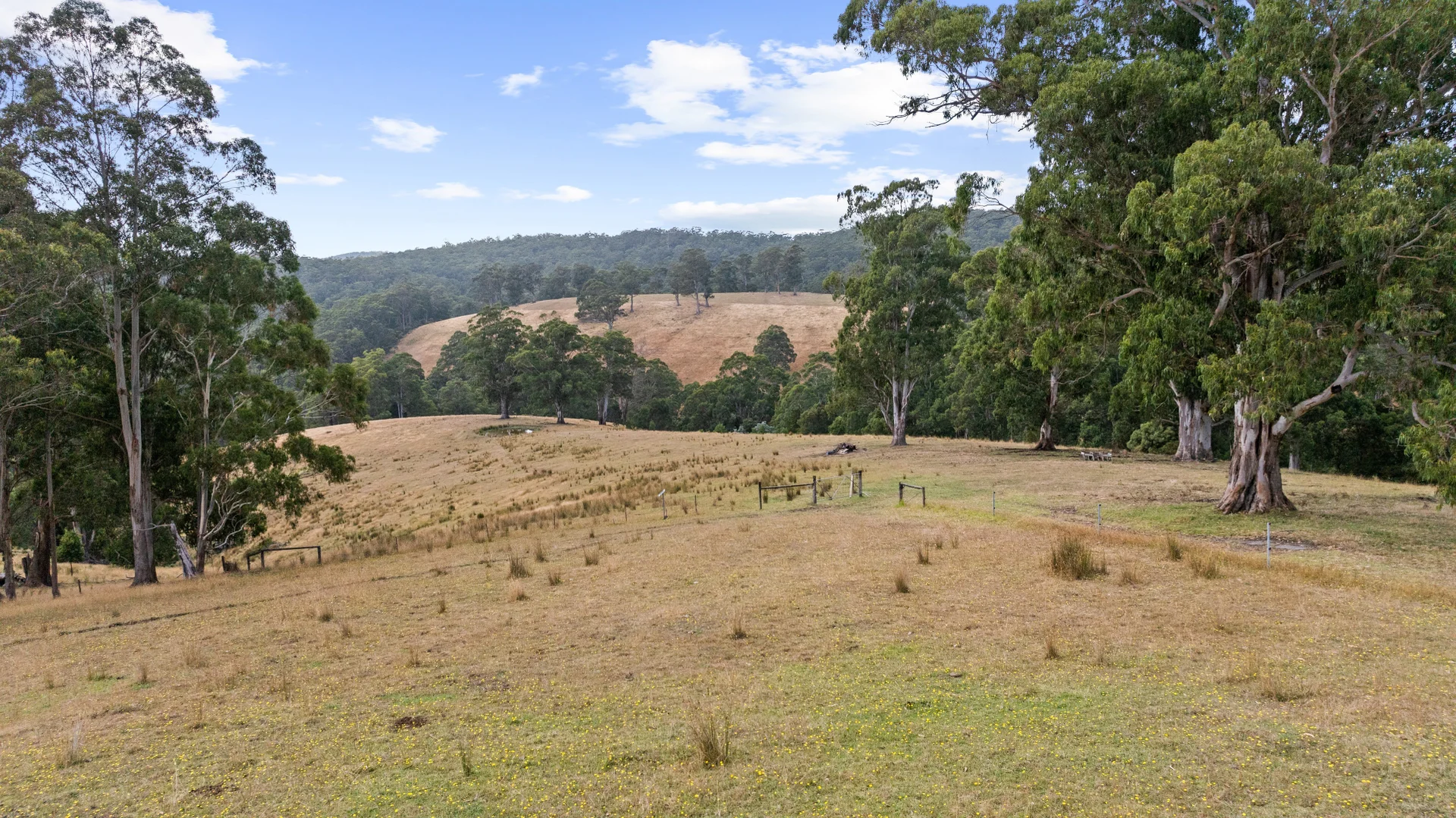 Additional image 5 of 58 Martins Road, Willung South VIC 3847