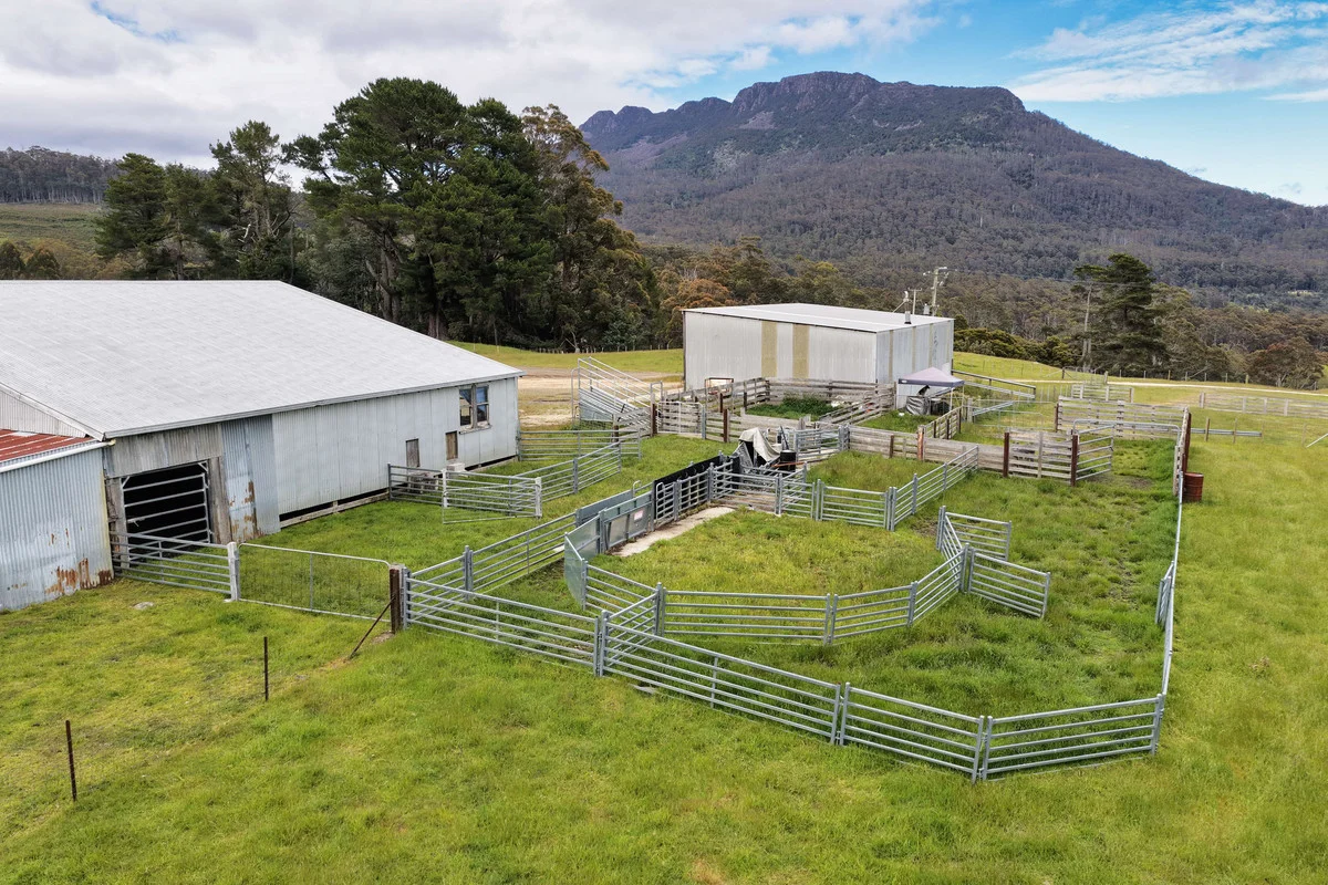 Additional image 7 of 983 Bogan Road, Golden Valley TAS 7304