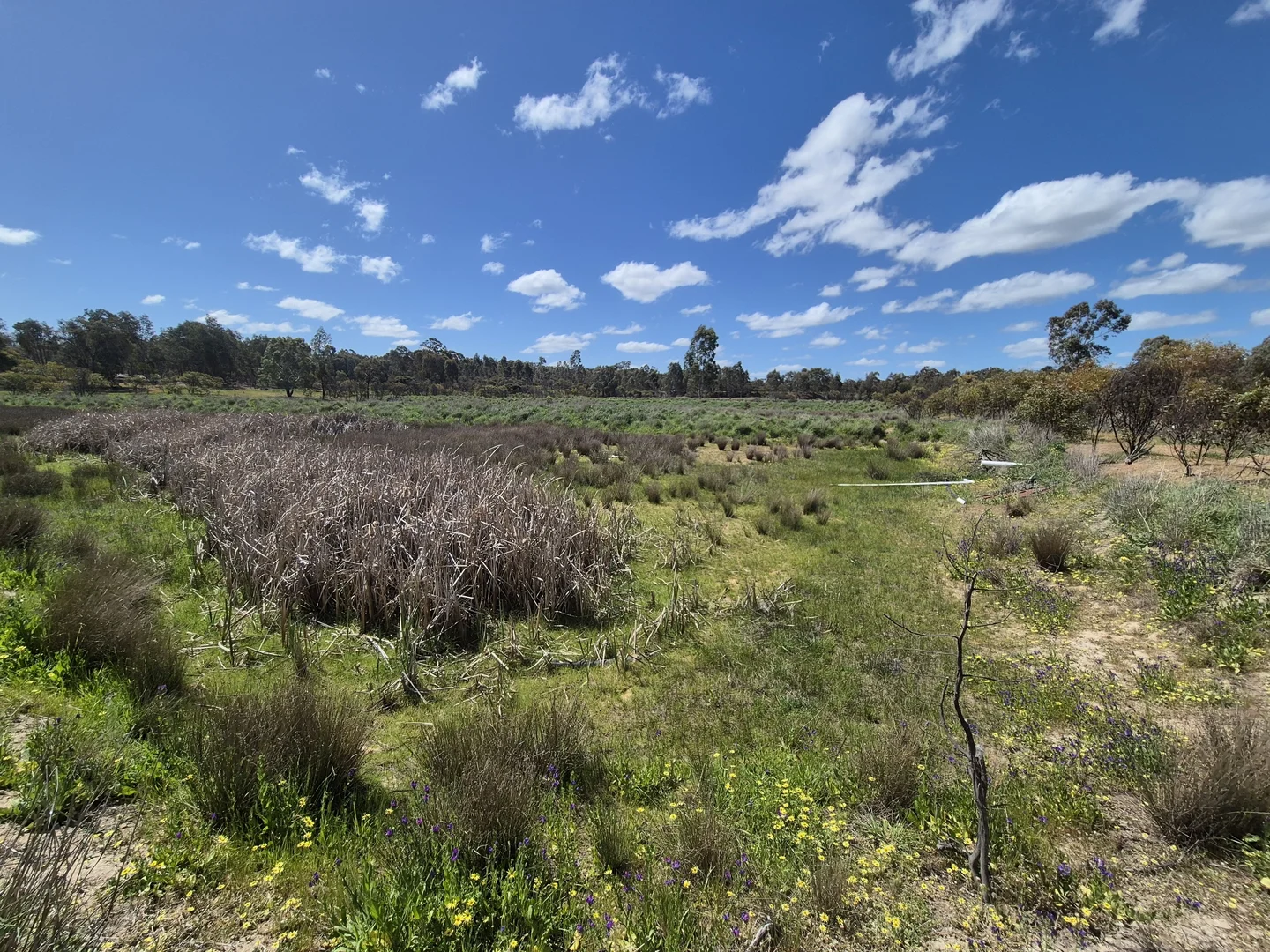 Additional image 7 of Lot 2 Gellibrand Tonks Road, Earlston VIC 3669
