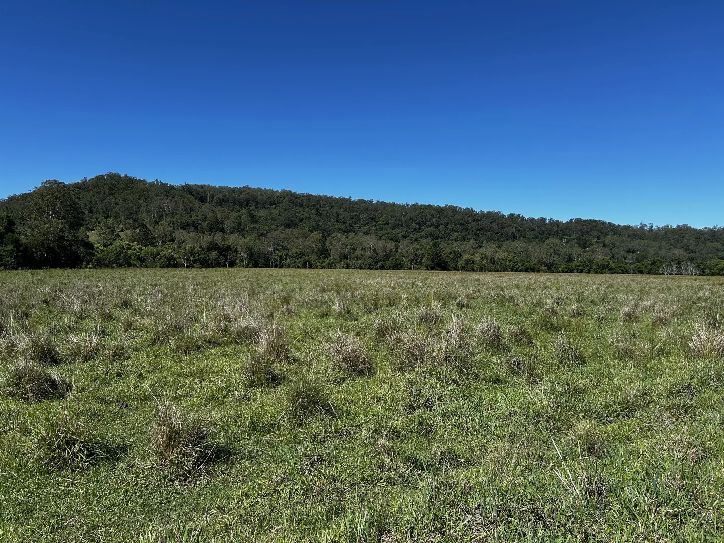 Additional image 20 of 504 Jiggi Road, Jiggi NSW 2480