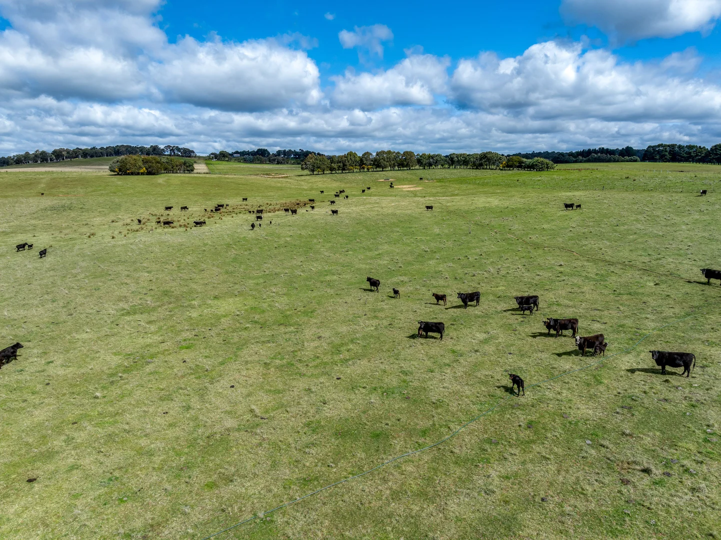 Additional image 5 of 85/1182 Yalbraith Road, Taralga NSW 2580