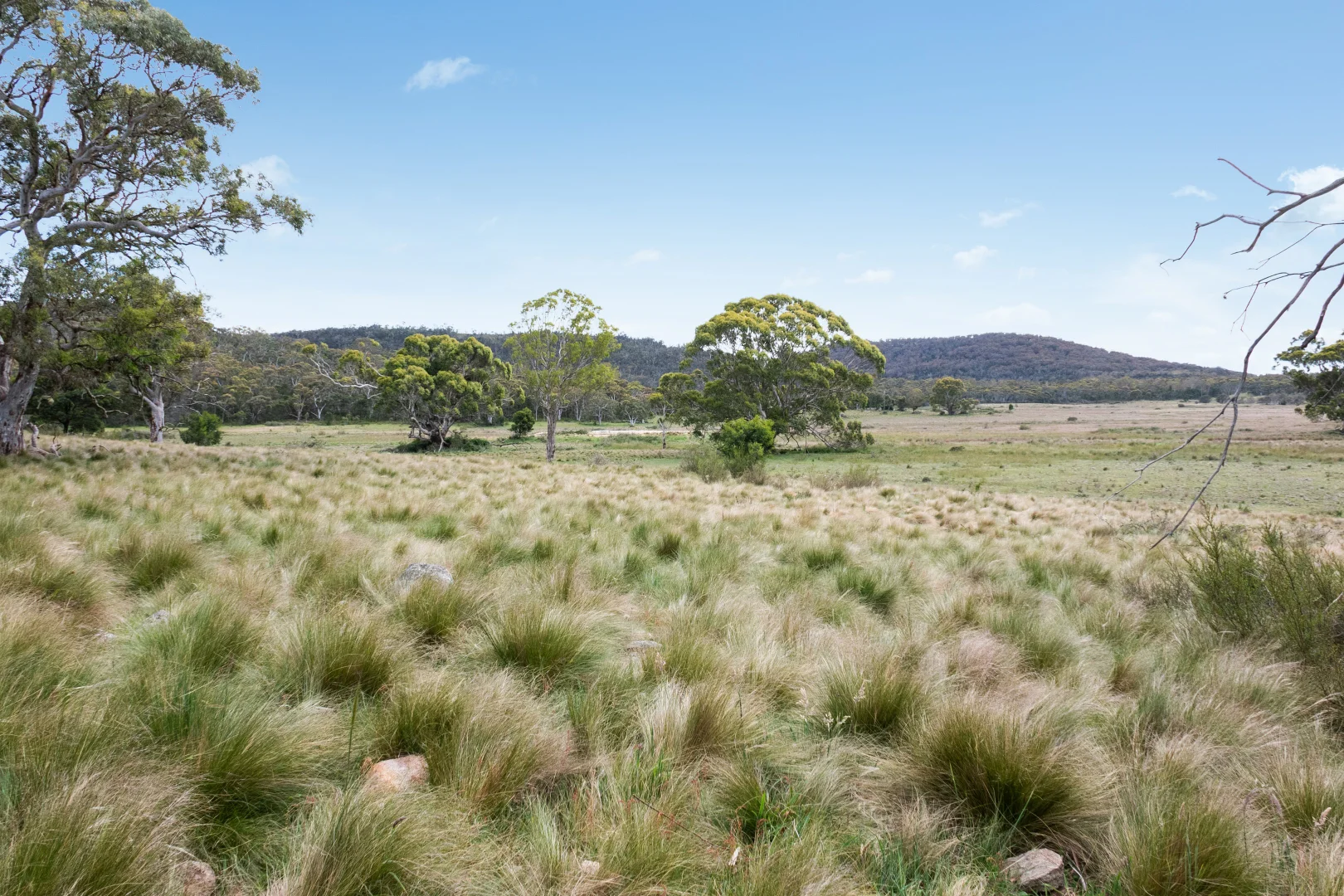 Additional image 10 of 14/371 Mayfield Road, Braidwood NSW 2622