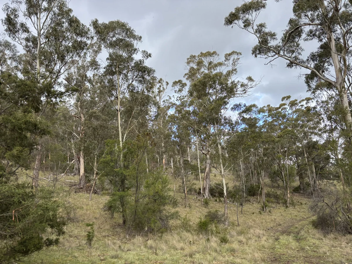 Additional image 19 of Leprena Road, Orielton TAS 7172
