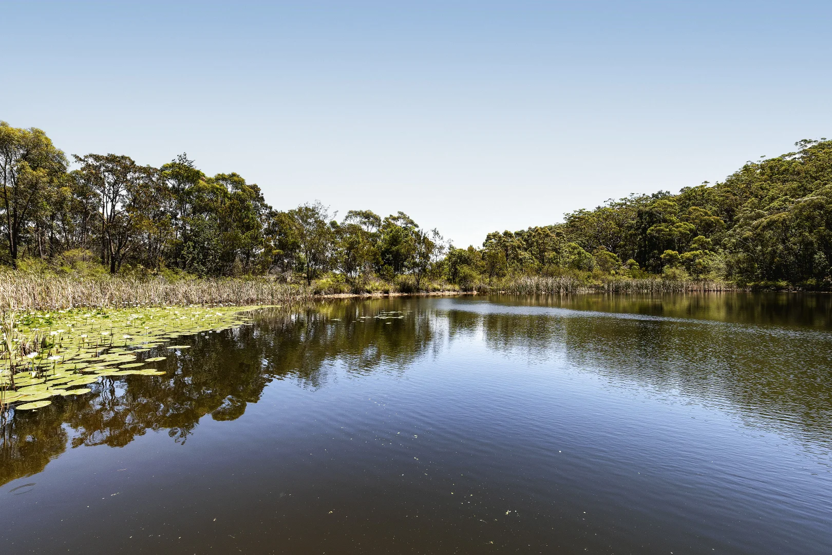 Additional image 27 of 5 Gecko Place, Glenorie NSW 2157