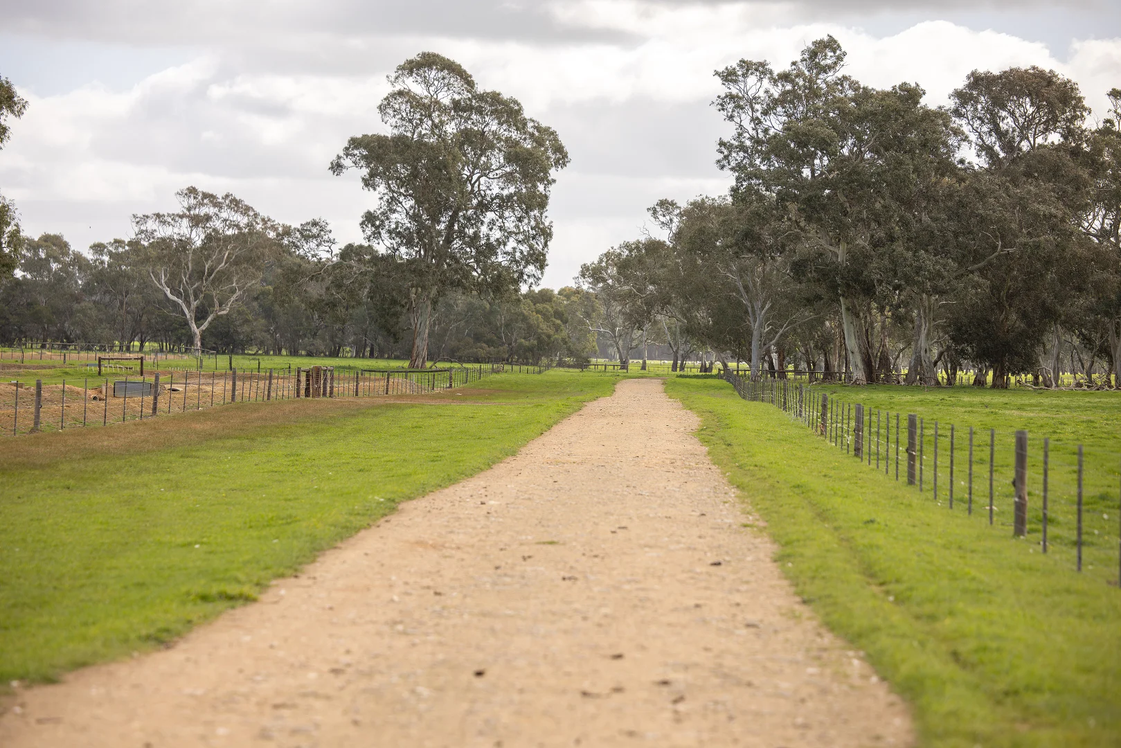 Additional image 26 of 546 Bool Lagoon West Road, Penola SA 5277