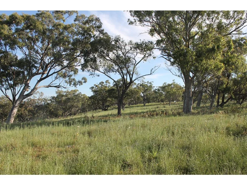 Additional image 14 of Golden Highway, Cassilis NSW 2329