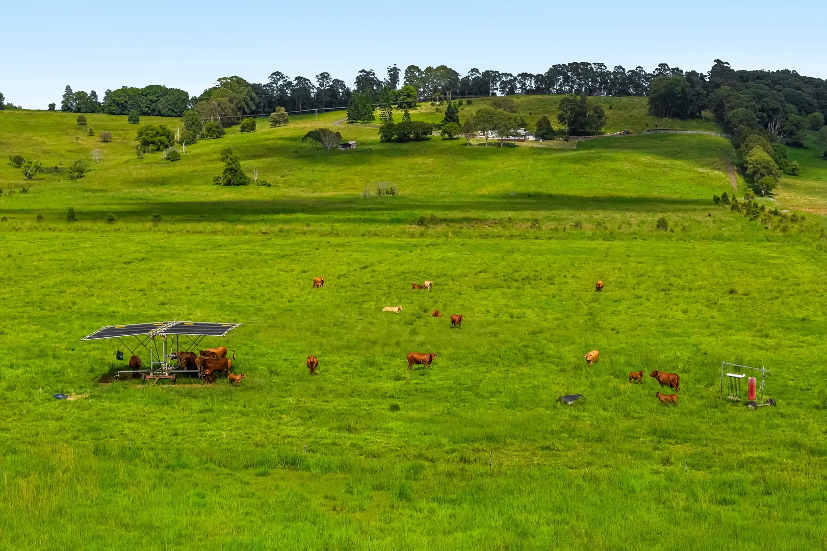 Additional image 11 of 1368 Wyrallah road, Tucki Tucki NSW 2480