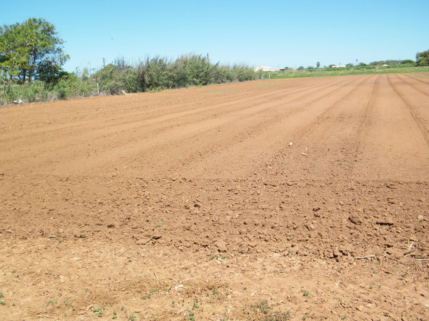 Additional image 11 of 270 Margaret Row, Carnarvon WA 6701