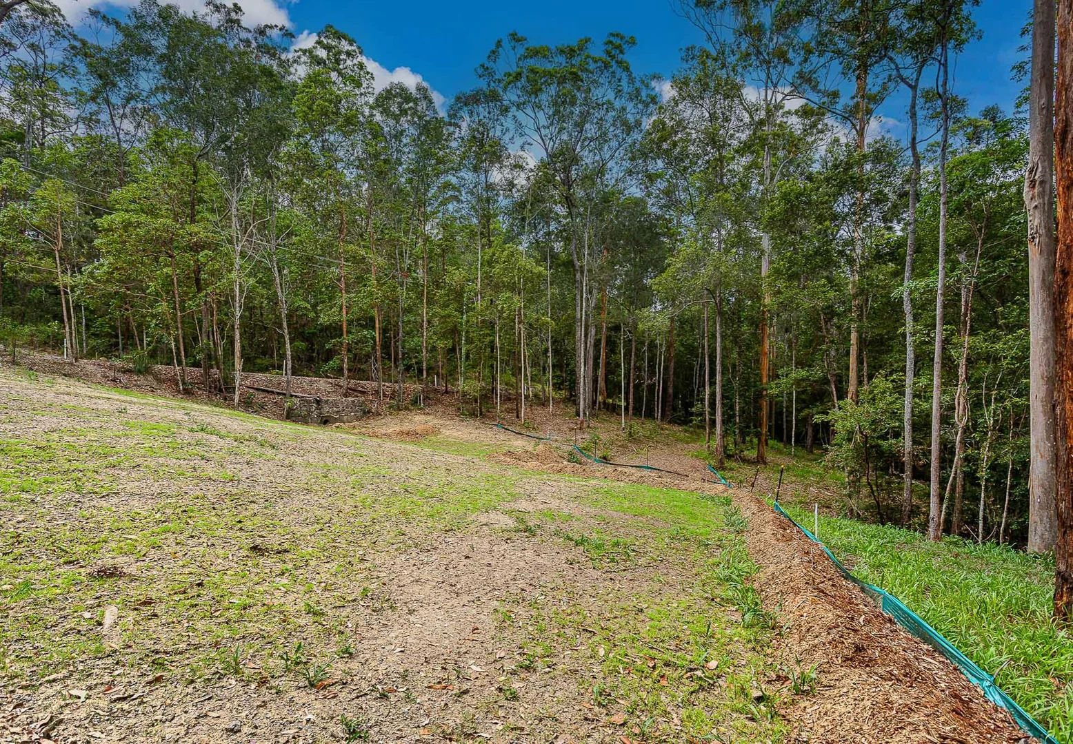 Additional image 12 of 13 Dunbar Road, Bonogin QLD 4213