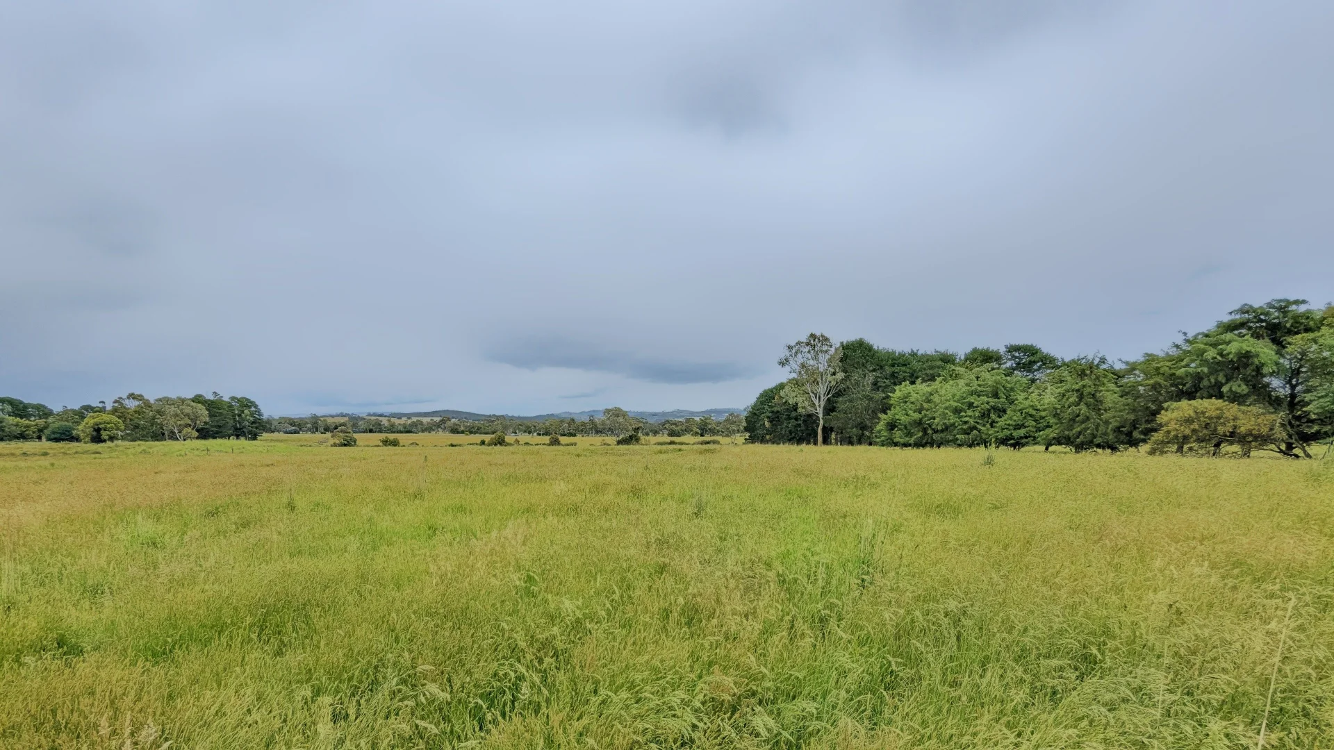 Additional image 7 of 545 Kilmore-lancefield Road, Forbes VIC 3764