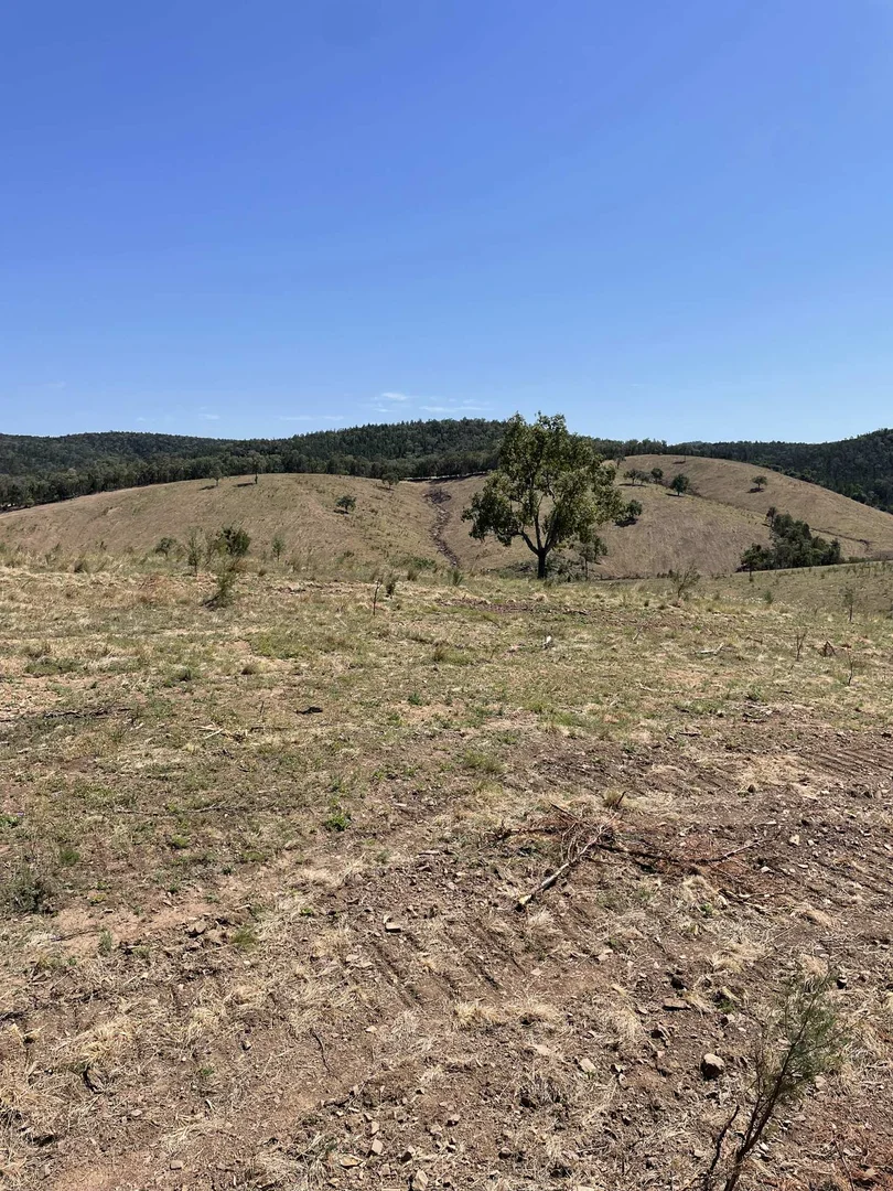 Additional image 20 of Lot 9 Silver Spur Redgate Road, Silver Spur QLD 4385