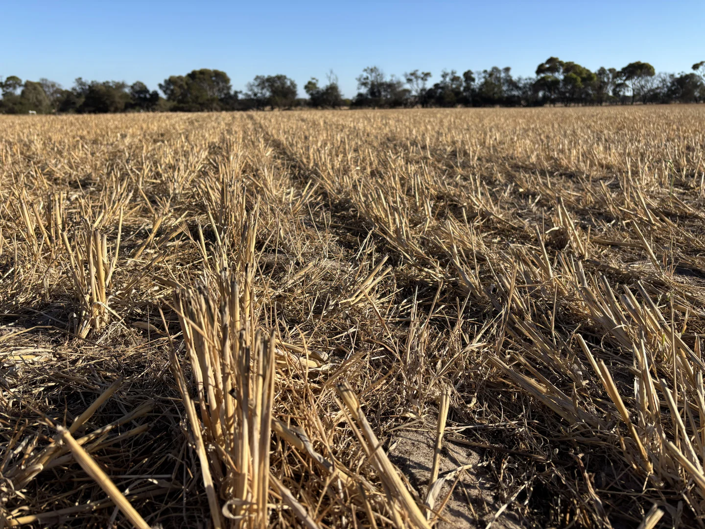 Additional image 13 of 7 Hidden Valley Lane, Boston SA 5607