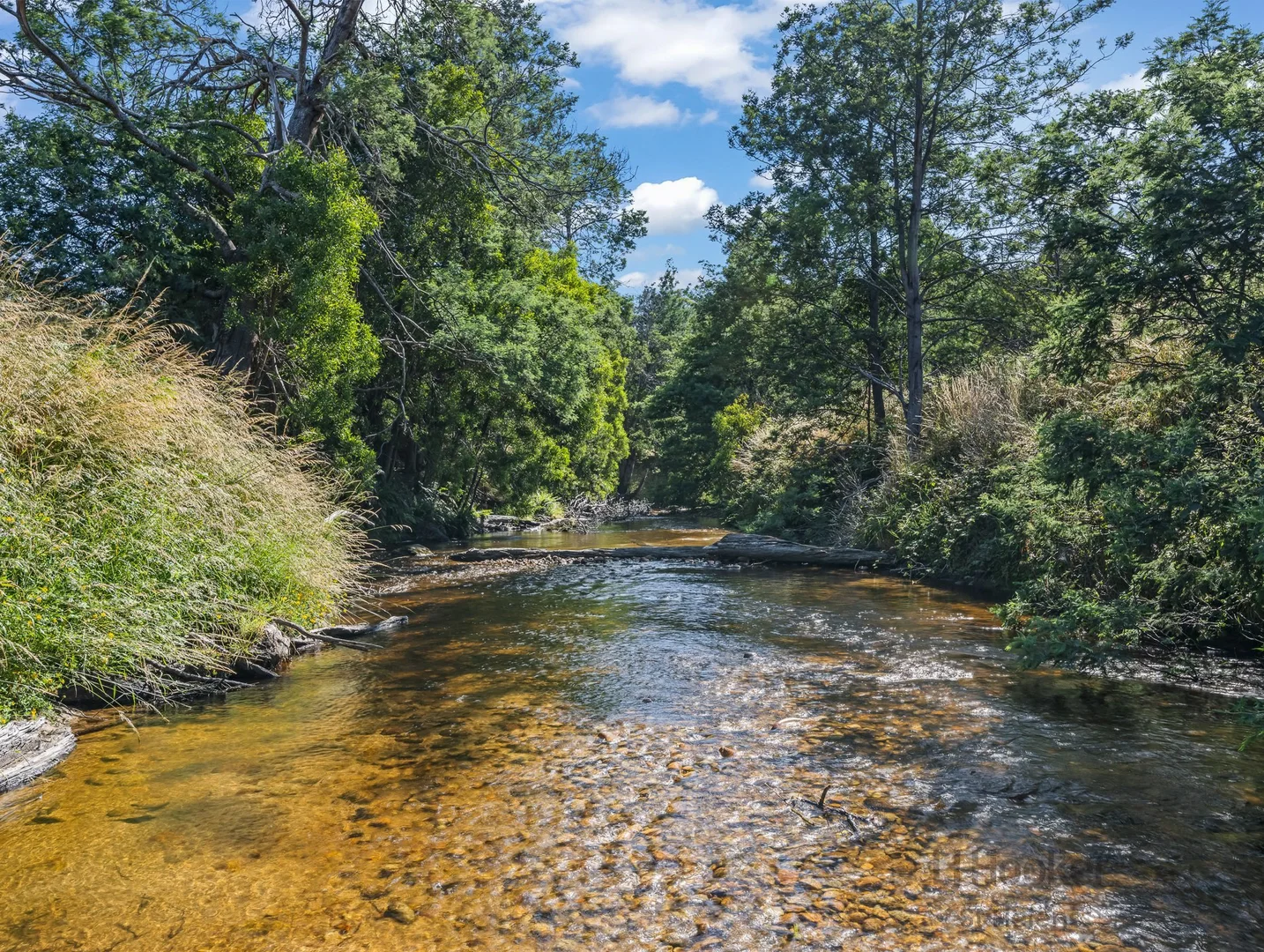 Additional image 6 of 96 Terrys Hill Road, Goshen TAS 7216