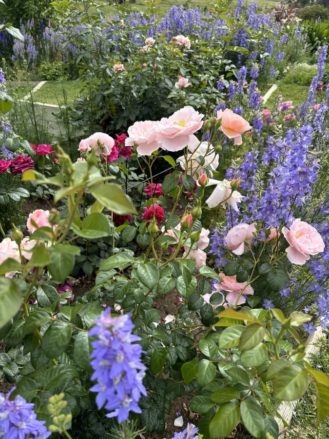 Additional image 17 of 21 Keera Street, Bingara NSW 2404