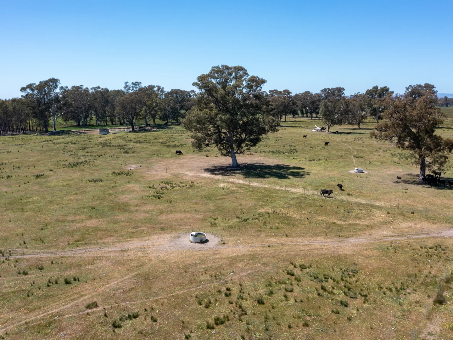 Additional image 11 of 377 Laceby-Targoora Road, Laceby VIC 3678