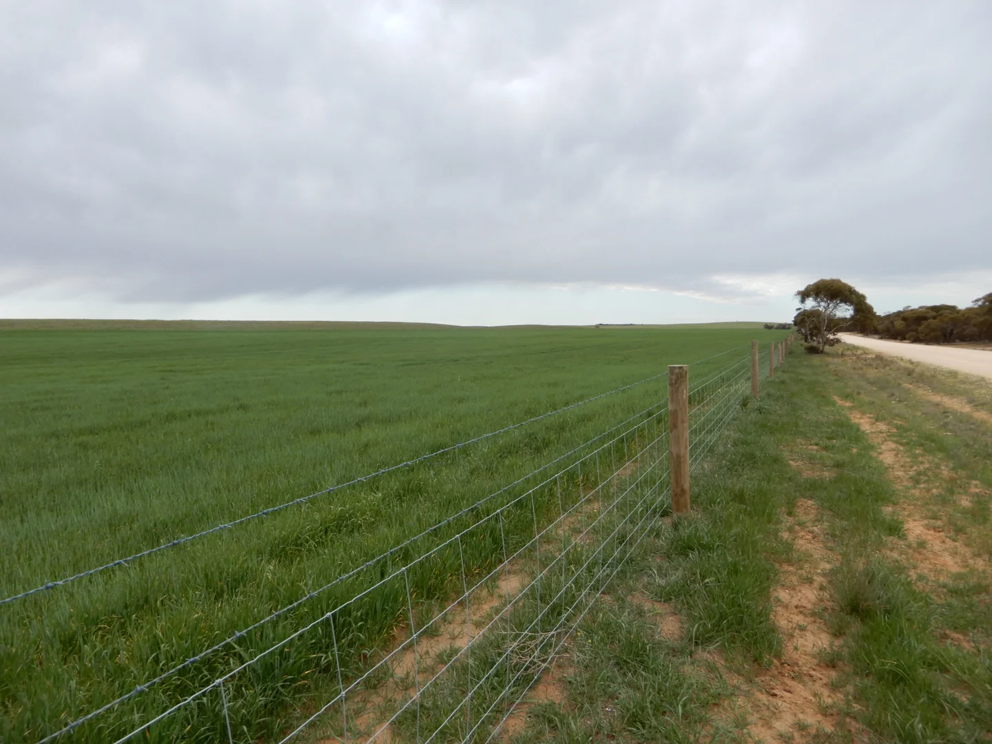 Additional image 5 of 1481 Parrakie North Road, Lameroo SA 5302