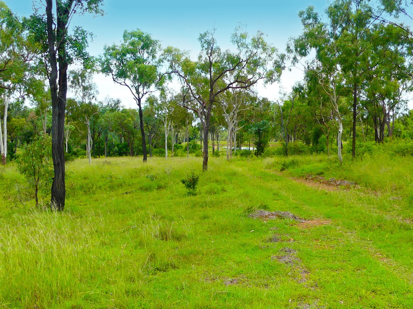 Additional image 20 of "Jacques " 0 Cunningham Road,, Nine Mile QLD 4702