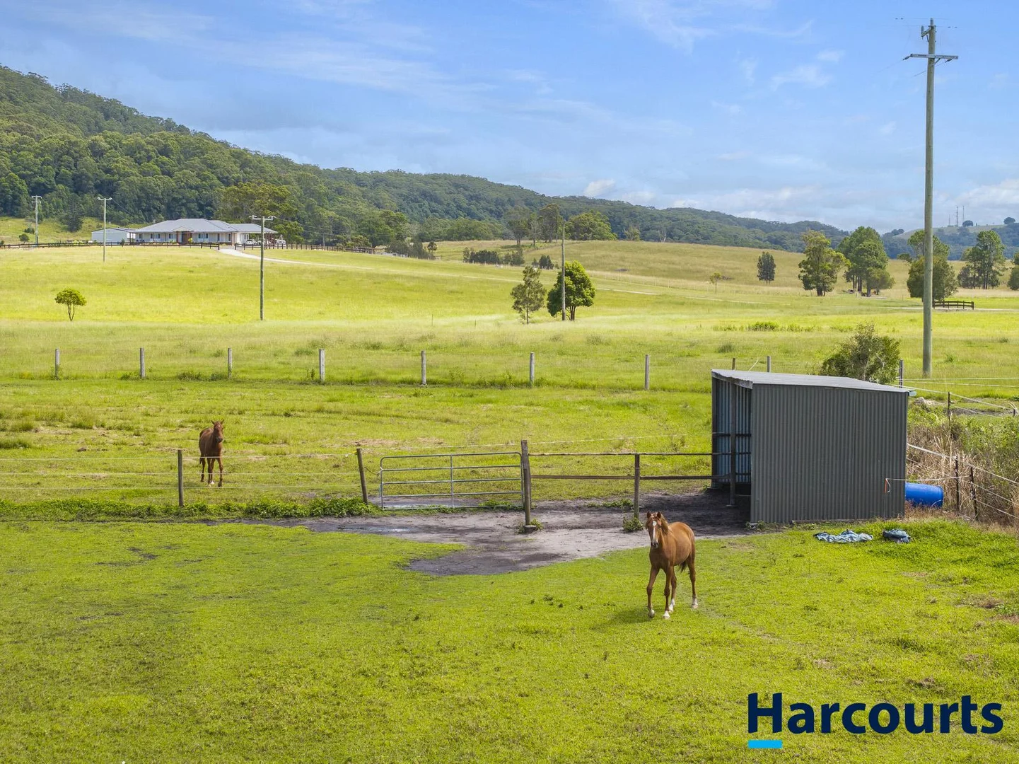 Additional image 55 of 406 Old Bagotville Road, Bagotville NSW 2477